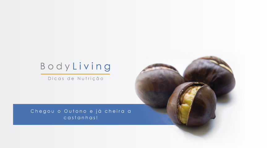 castanhas bodyconcept